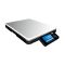 Ваги контрольні Dibal DPOS400 FLAT (один дисплей, RS-232 + USB)